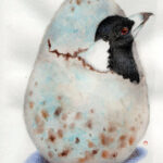 wm_magpie