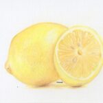 wm_camouflagelemon