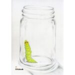 35_5Dec20_wm_wormbottle
