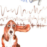 dogspeaker