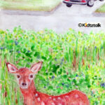 deer