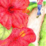 girlhibiscus small