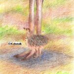 ostrich small