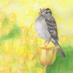 birdyellowrosefield_foto